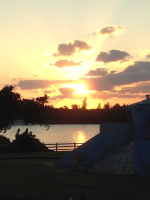 01beab426dff18affa7804dcec7cef250263e7b988