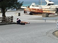 01c6b8cf67af67af4e6736c4ed16388e5f8db03fe6