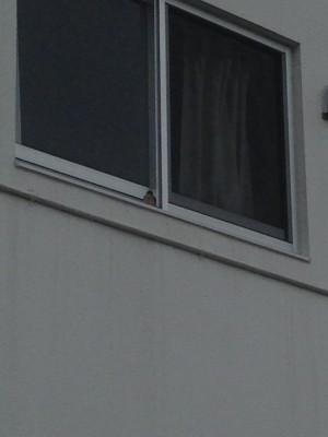 01da6d8fe9c7790e17c6a0fdb5d3cc8626762f48fc