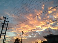 01e73f43df769677001b5b6f86777331660f62fe69