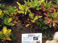 01edcbdcfadd4a97cf2339923bb8a42c5cc1b1edc5