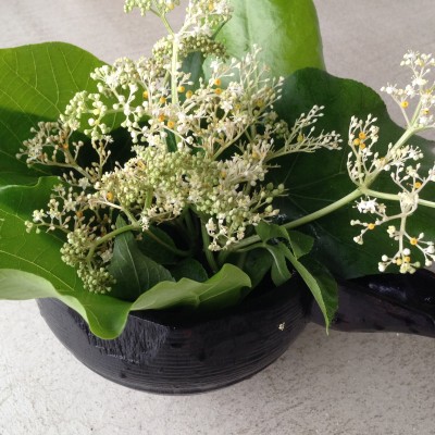 010db094a924b3bb0c6e6018c7d1a323076619e3fb - コピー