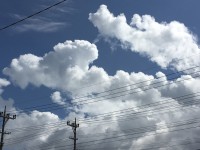 010ffb1894f3d9a3f11f9dcb03c00eb36db0a01f41