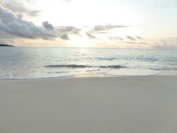 01292b2ccdd7518673af41a2215ffee016fe6cd2a6