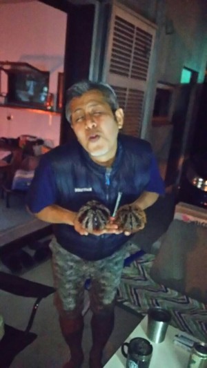 013aaa35812424af4d8fb0d10739bb5b2ae1c24631