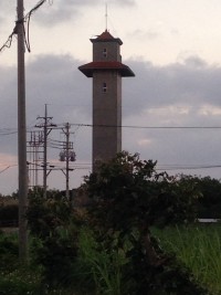 013c460537f1cf7f8408a0946196be1579a29451be