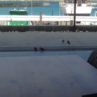 0160595a3b29a7bb7987bb331b8cbf06f95da788e3