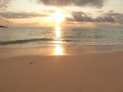 016dad1c60a765f359dde3ed7e3f80cc4965abf4d4