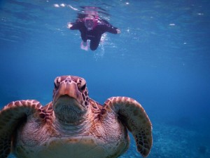 01baacf57149de37c42ec182c133d8fbf16117ee80