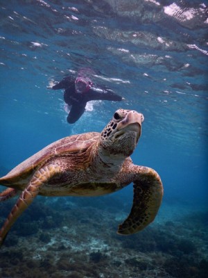 01d3c90054af1c68cbed285b158482cd9cb6d96455