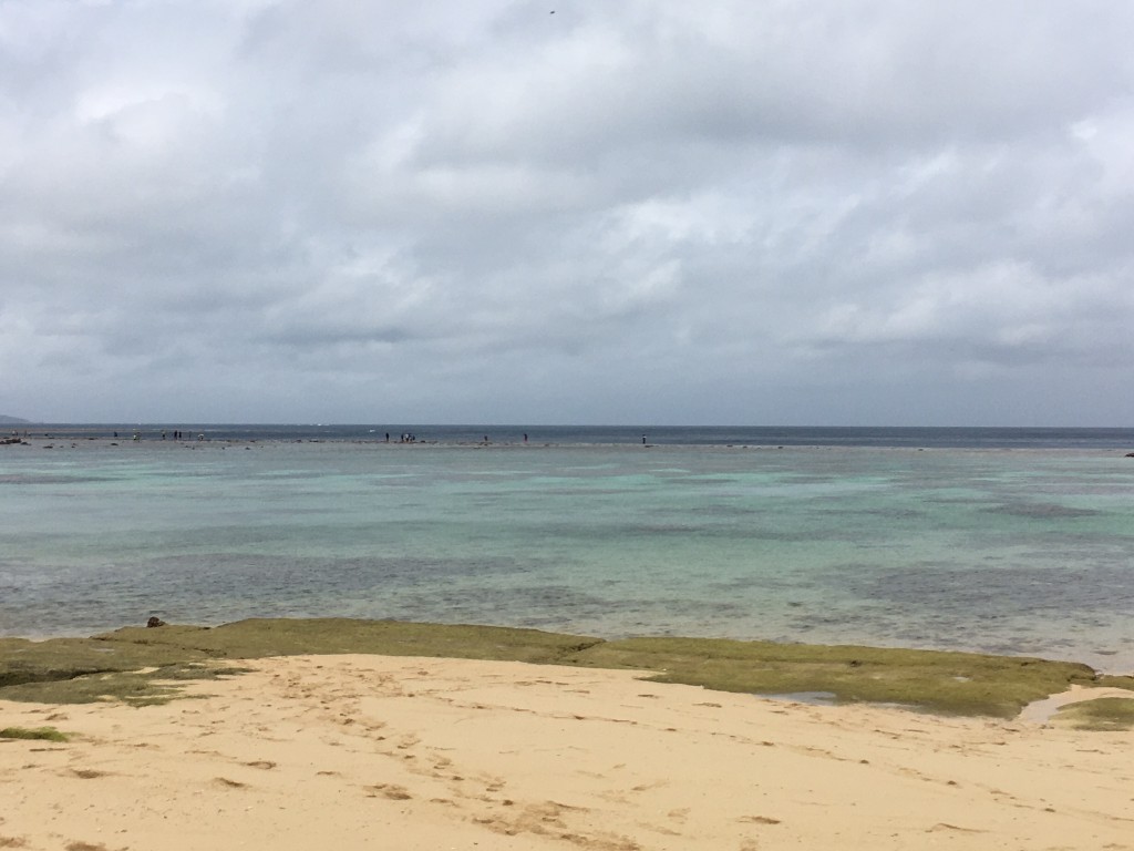 017815c69e4d423442a465604a1a5a760e0b7952be