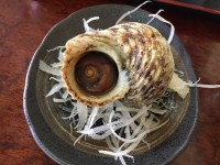 017a6b21cd2882f625094163498b3627877ac27b93