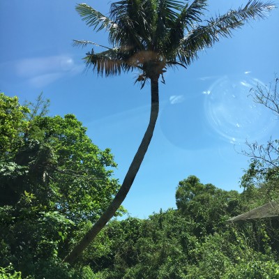 01b38d0626ac122451d94048f081e5669b4d59d309