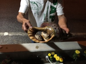 01ce1462624bd4fe6e0acfbe68f7c9c02a20ddcfc2