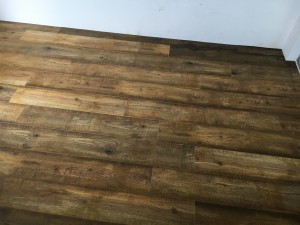 0105611861e3428c4583d3f653a0d94d3febc00879