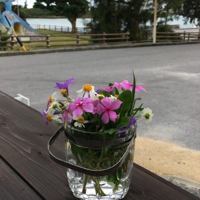 010a866cae6ba0c1b75649e00c9114f0a92e9930ec