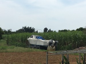 011cb4dcb8e494d2ee44e60f5304eccb6304dc826a