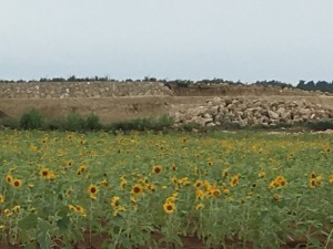 01224c29f92131cc47ab6b8607ec8e592d50e2b33f