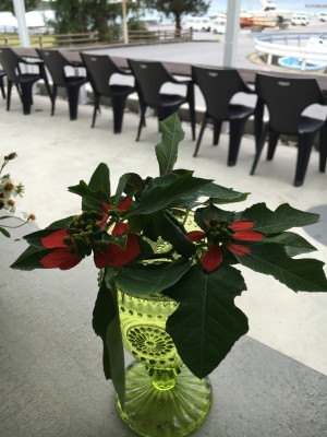 0129daf603b84804ab3381dd0e3a44a09025462f2a