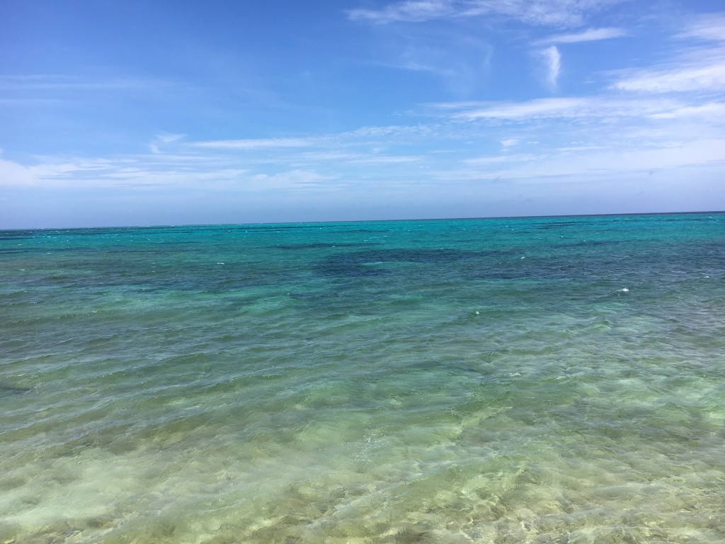 0144ac712889ae0a8406a4db5ed85b299cd9297458