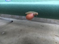 01462bfaee33b3e9e2ea91c9eb1261c593785113fd