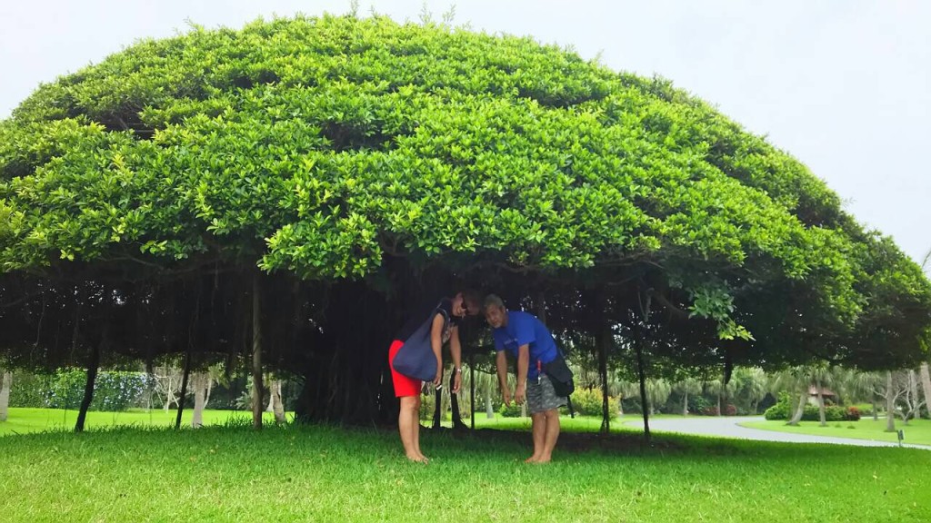 014a0c20836b3732199160ec7cfc6d773e198d7314