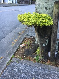 014d981842133594313838b6b7160a82d061c44299