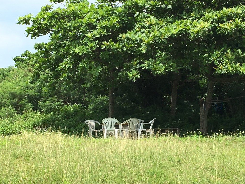 016862778e90727d9b11d21c792386808bb72e099b