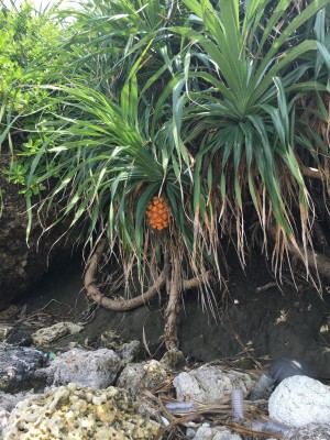 017032cbdd09a91bd7e6f6978388bbfcdf7c6e822c