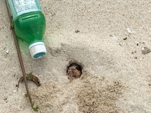 018704cd025c1800b3a0243ba74084672054d3068e