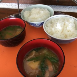 018a5440d8c6453a95f4dcb4aa7c086c55e9967c74