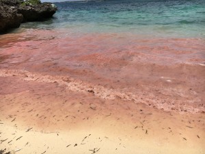 019051a2c5776a1c726708a2a0a963abeee9d23a5b