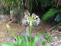 019fc8ffe3cc4005b76e381973ec63b70e69933463