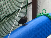 01d6299b1301050ce58125ccfa9e230c39557c37bf