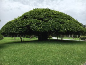 01e84828c85e4d69c1a23da0fb358c82d12018eac1