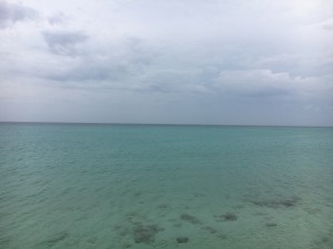 01eaed8cf5399c20397d1c4212f0b02ef1379de0c4