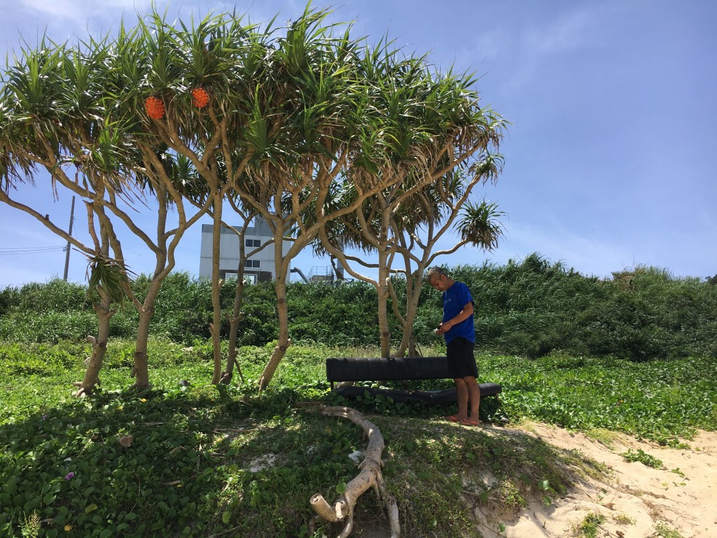 01ecf19600e0c5dd60e7e63cf30742e3f5eb84da36