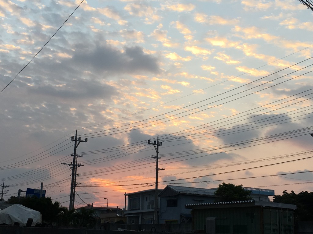 01f05c2d2da081b2d7f3c3e9197c38f3c470f6a78e