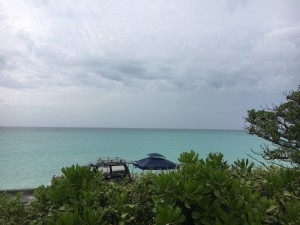 01fcd565f503db5a885d9a2e528e679cdcdcd085f5