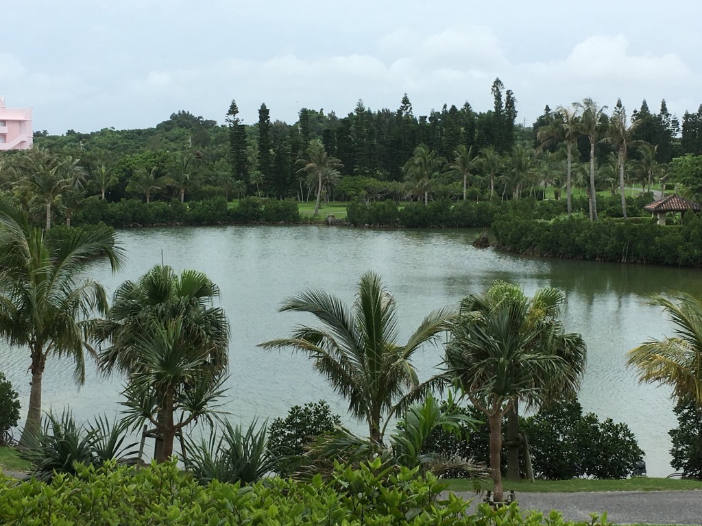 01fcedf01f86a2ad3b2e2ca2cb3a6c0cc7af722e38