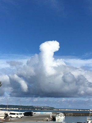 010b7e360c5f2a69091a7f7cc17c671c9dd9c2d126