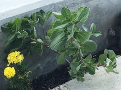 010ccfb001f885416238b264372194bc6a0b0d0bf3