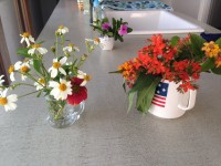 01529cf463c7ed3ba8cee7b6adcca4702fd47e0cf7