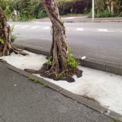 015d2199b4eeafd4f8e86bbacbca24e1953143614b