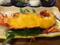 0172cea398c78ee5e19843a2eb4ae9485bbf27db9c