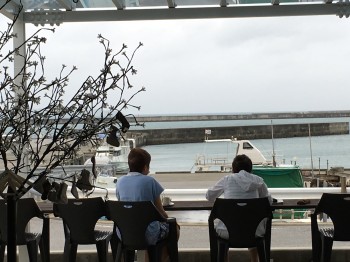 019f987a7d3a948ceabd8f37e4948cf5fd8d66d96e