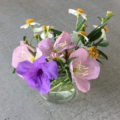 01b05d5c39aed4cb78d4d4048f846a39806e726527