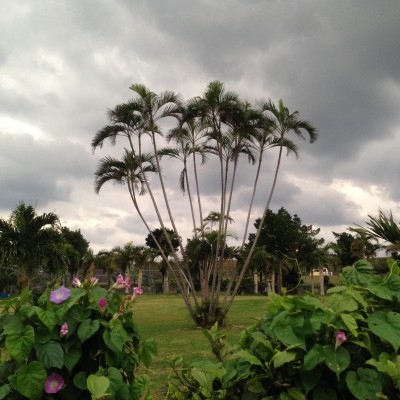 01c88b2d97c371aca6a3f51e4d4fe0cd00a9c3761a