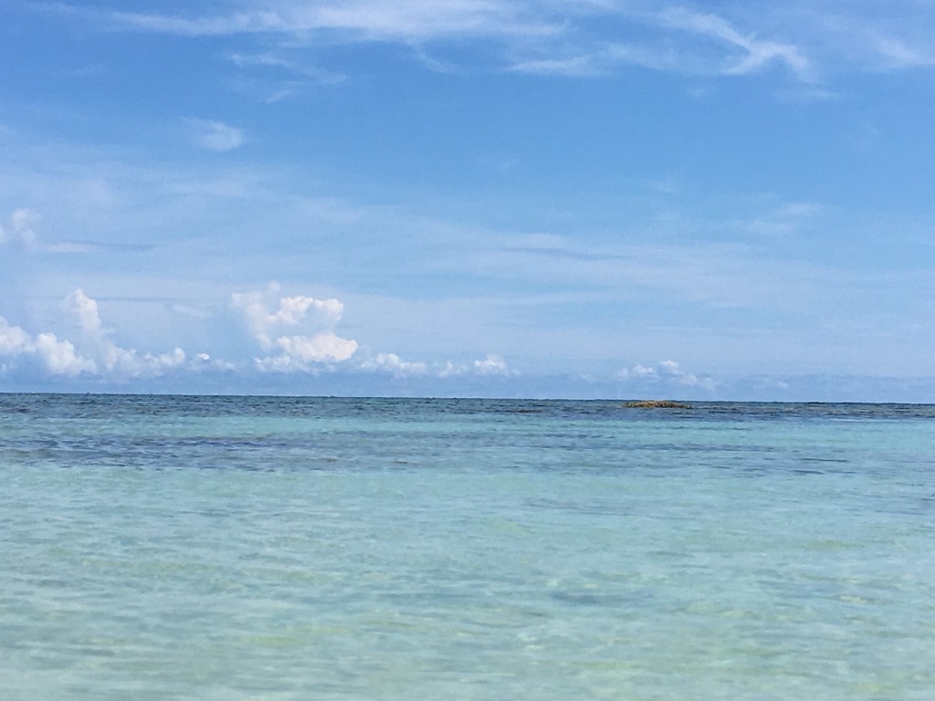 01e43abecaf551dfd7fd5b084eaa5bb56f2e1daca6