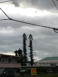 01f26844156a9022b36cadef4be1c4f5b3d76a55d3